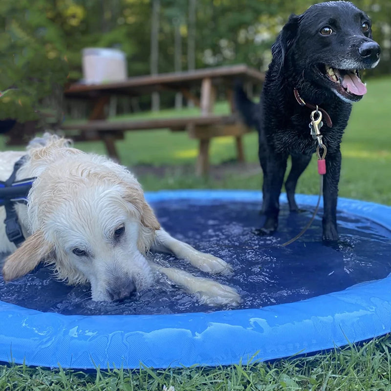 Banheira para Cães.