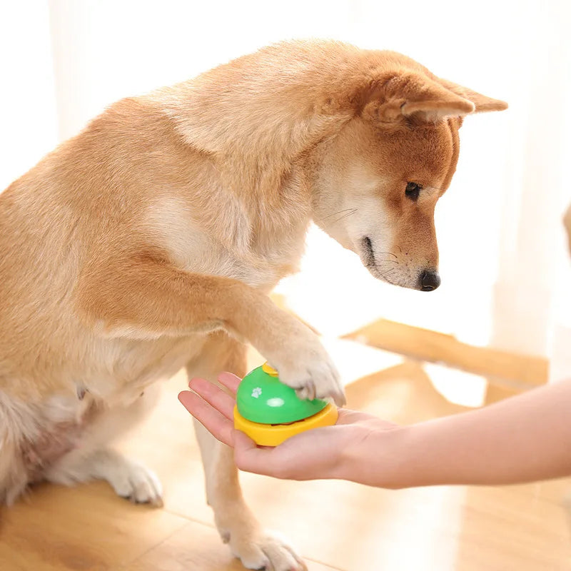 Sino de Treinamento para Pets.