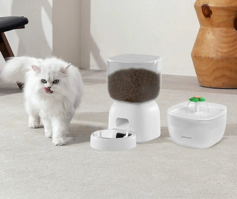 Alimentador Automático para Gatos