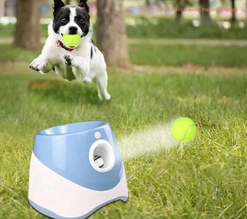 Lançador Automático para Cães.